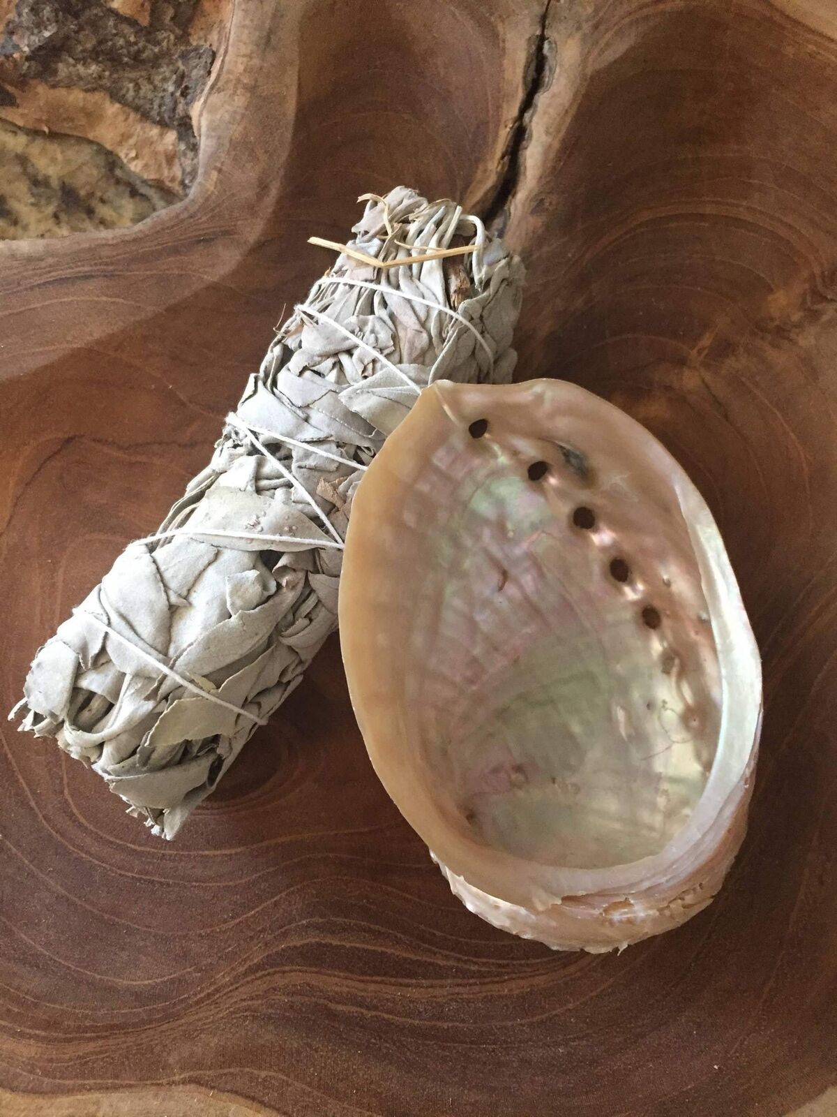 Sage and Abelone Shell Smudge Set