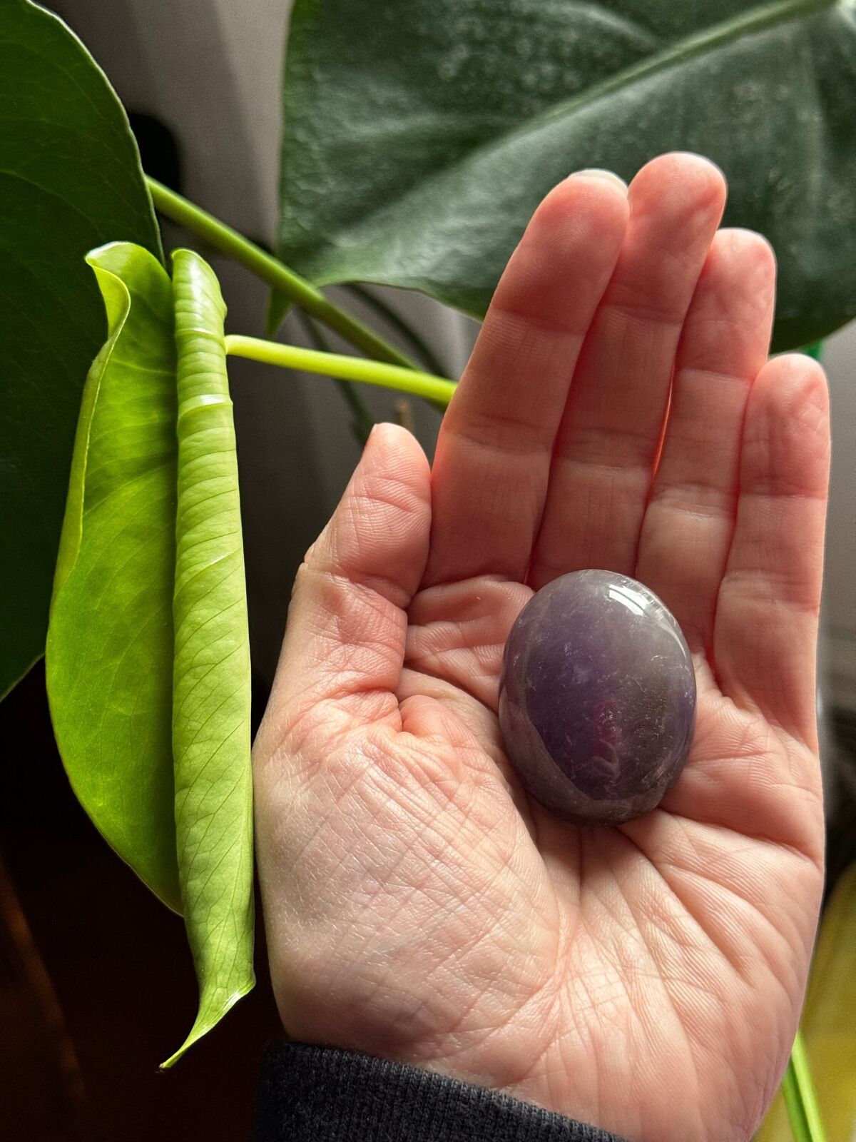 Amethyst Palm stone