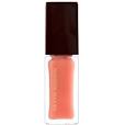 KEVIN AUCOIN THE LIP GLOSS